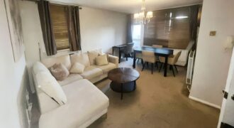 Two bedrooms house Manor Park